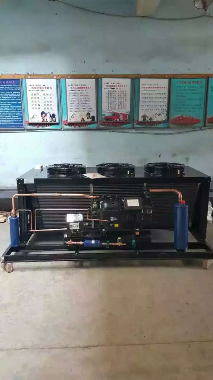 艾默生全封閉制冷機(jī)組 艾默生全封閉制冷機(jī)組